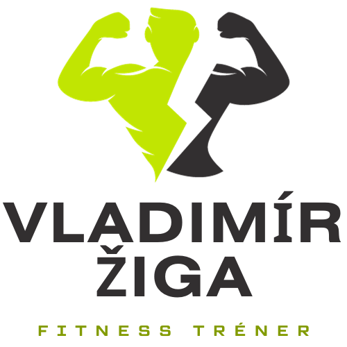 Vladimír Žiga Logo